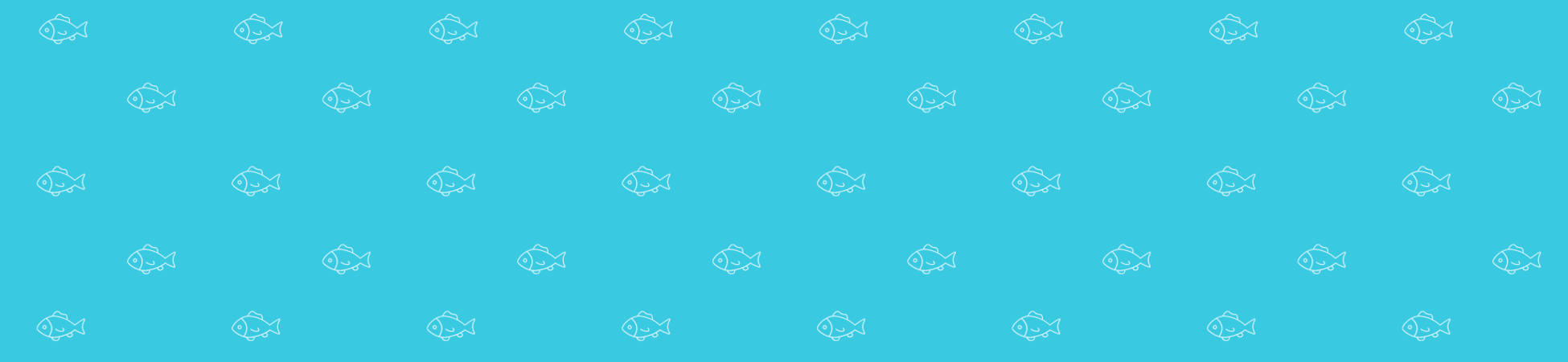 Social Media Strategy Deep Dive